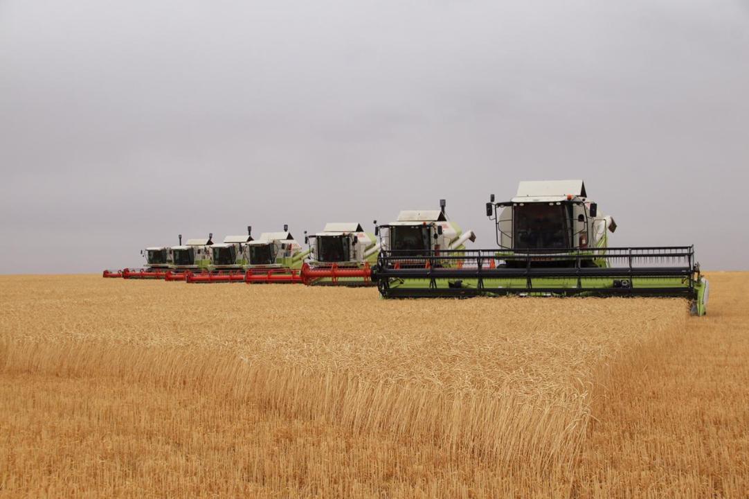 В Осакаровке построили современный элеватор на 25 тысяч тонн зерна