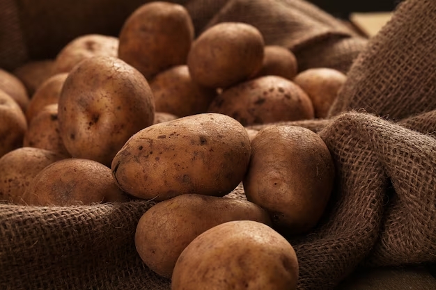 Запрос на закуп картофеля  от 8 февраля 2024 года