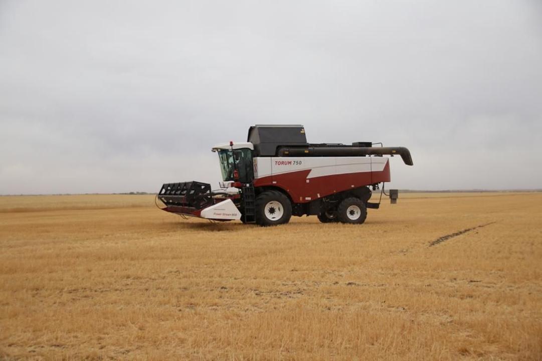 В Осакаровке построили современный элеватор на 25 тысяч тонн зерна