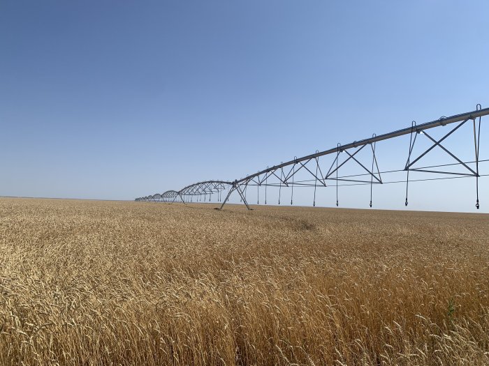 Выдан займ ТОО «Шахтерское»