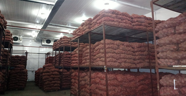 Закуп продовольственных товаров по обеспечению реализации механизмов стабилизации цен на СЗПТ