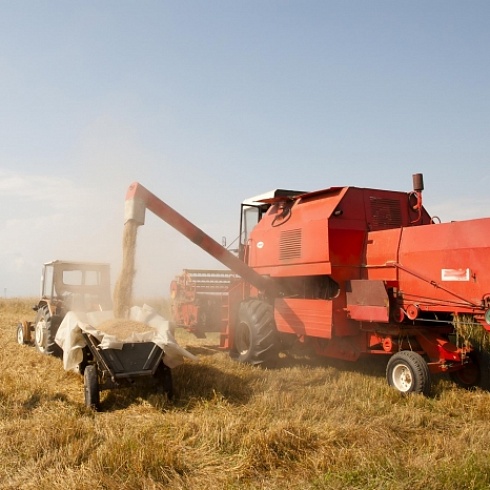 ТОО «Баймырза»