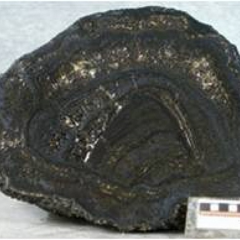 Разведка железомарганцевых руд на площади Тантальское в Карагандинской области