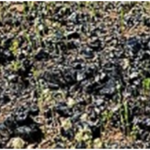 Разведка полиметаллических руд на месторождении Батыстау в Карагандинской области