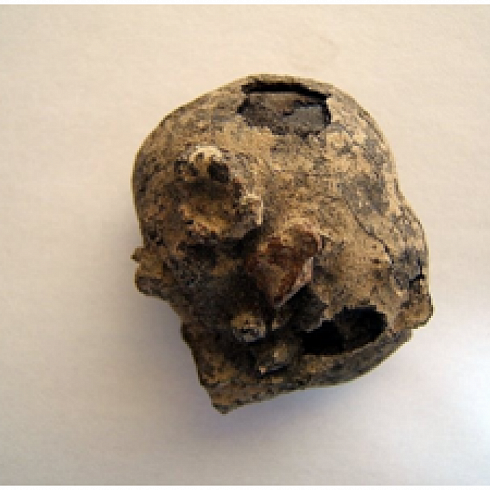 Разведка марганцевых руд на месторождении Жаксы–Котыр в Карагандинской области